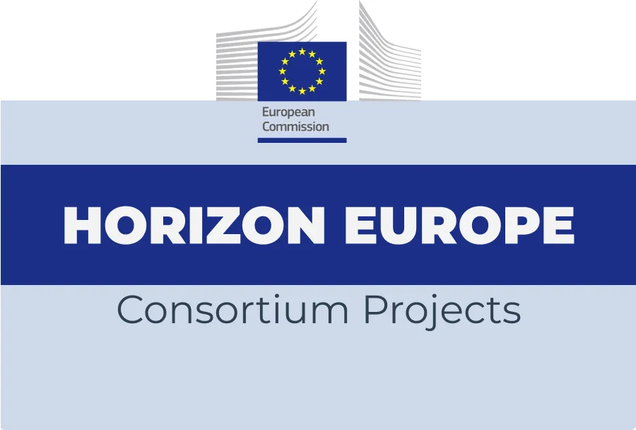 1 hour Horizon Europe innovation consultation